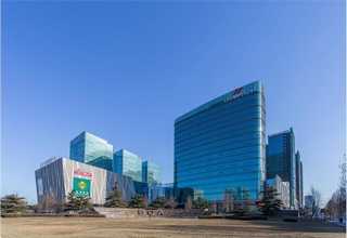 江苏哪种灰树花供应商