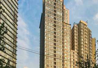 上海动力辊筒线